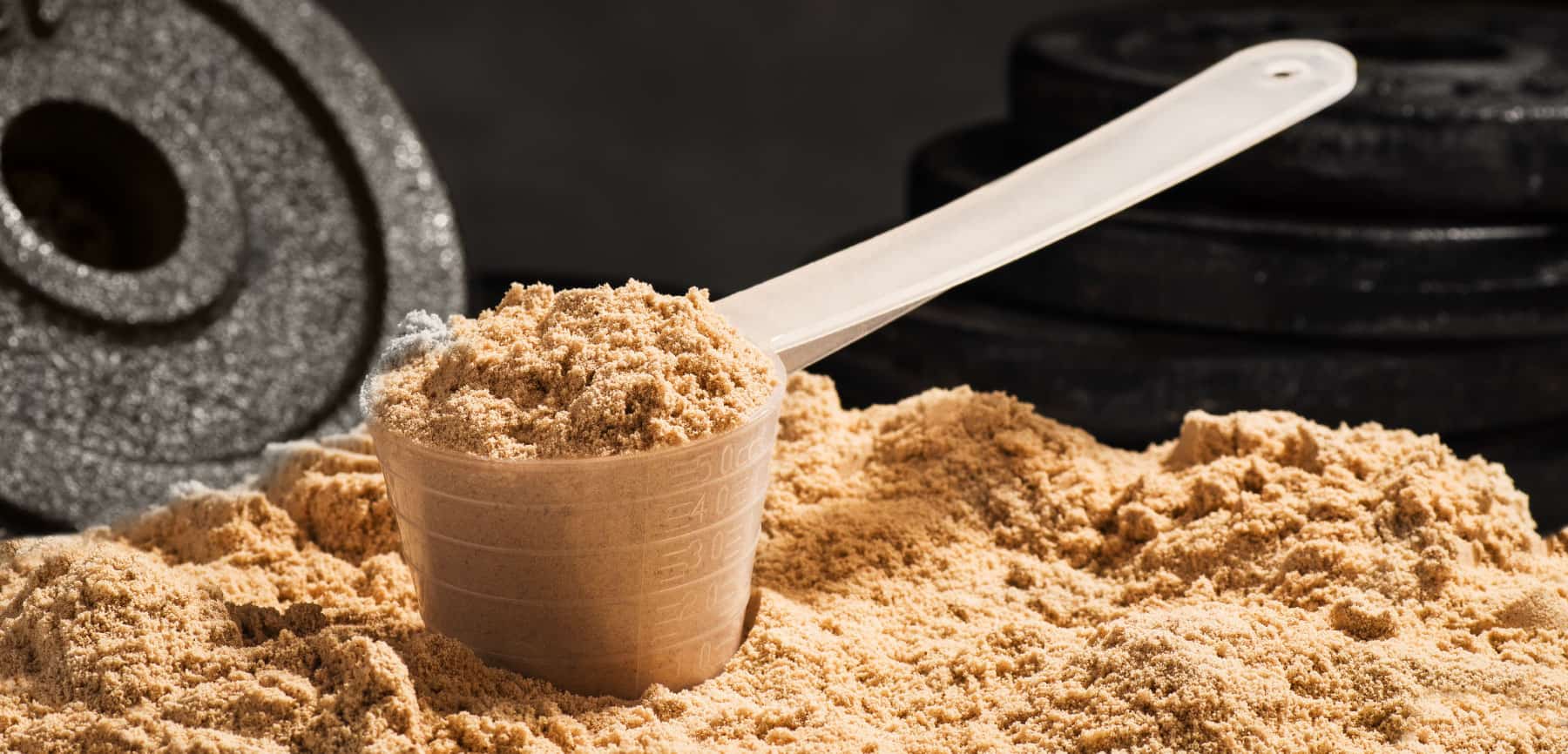 Best Protein Powders