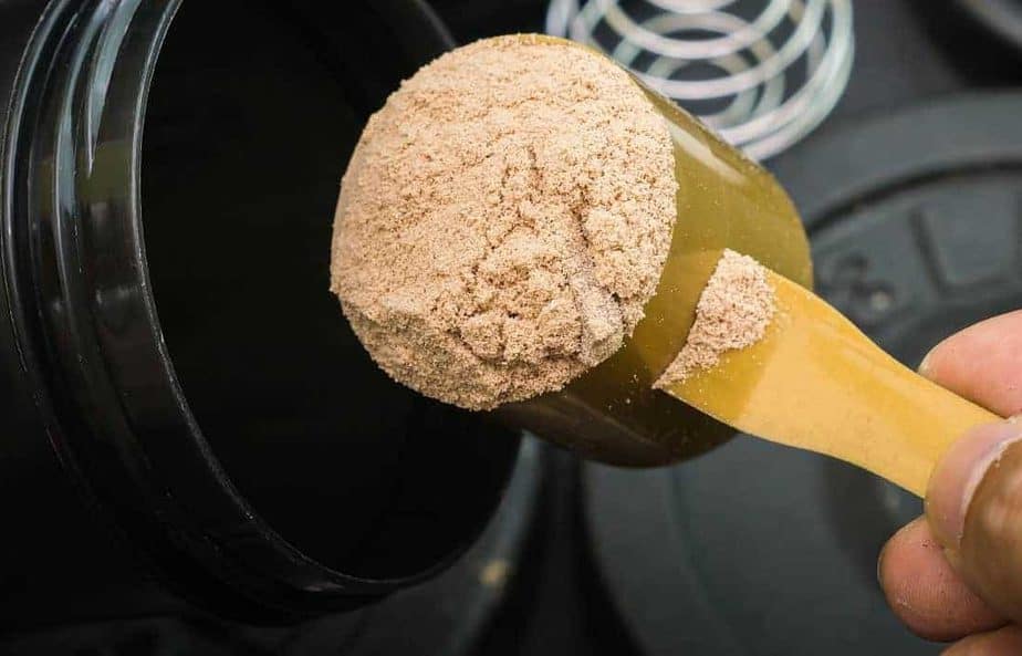 Best Paleo Friendly Protein Powders