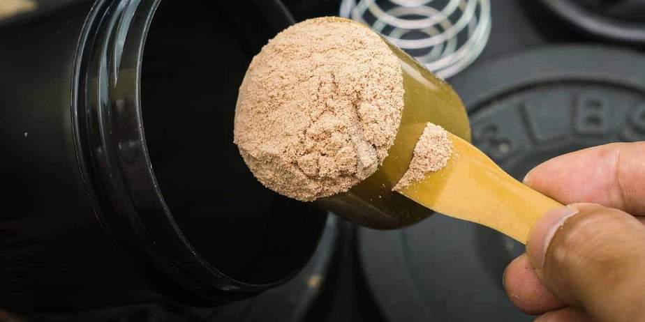 Best Paleo Friendly Protein Powders